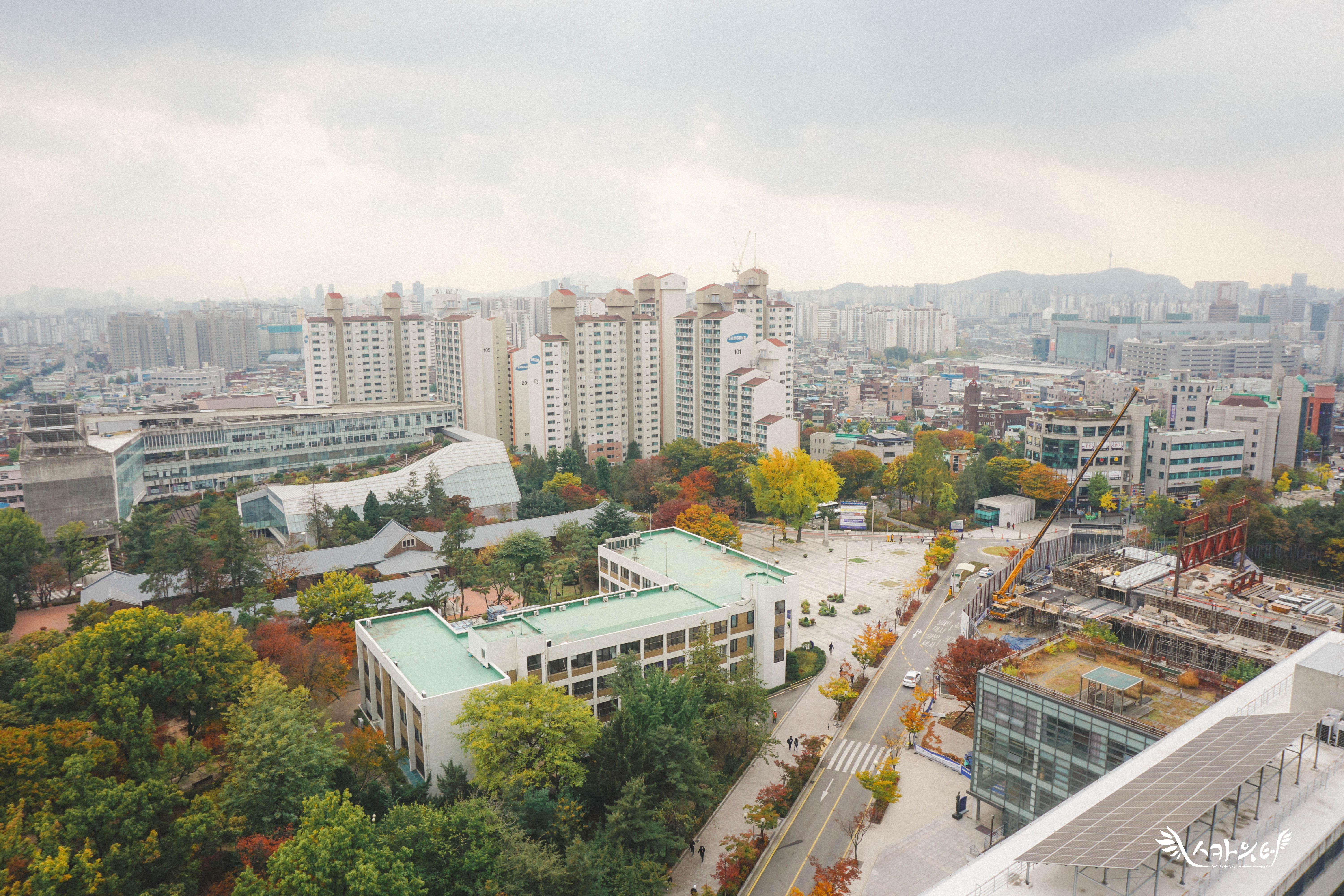 서울시립대의 가을