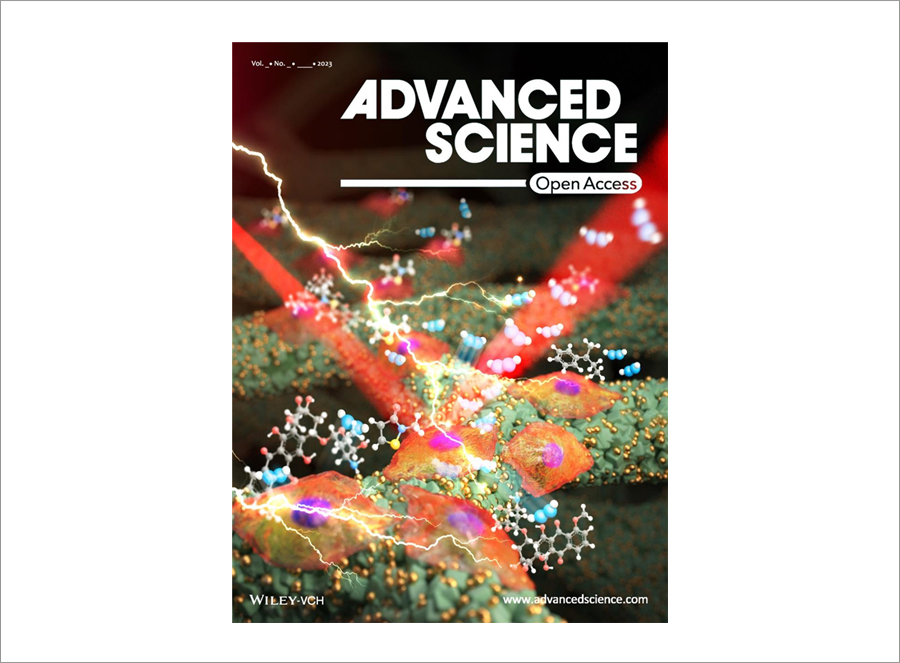 Cover of ‘Advanced Science’journal 