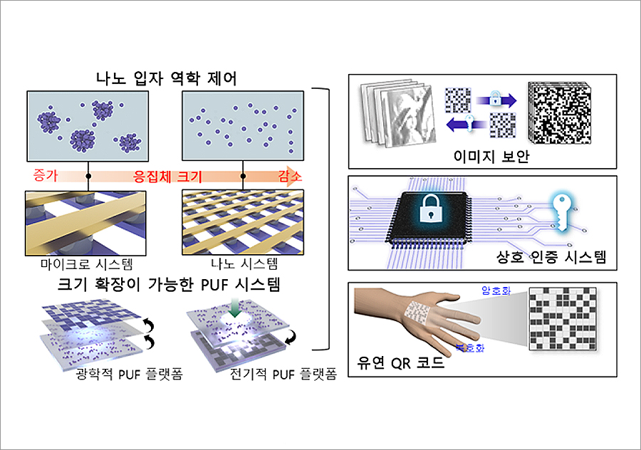 연구 요약 개념도