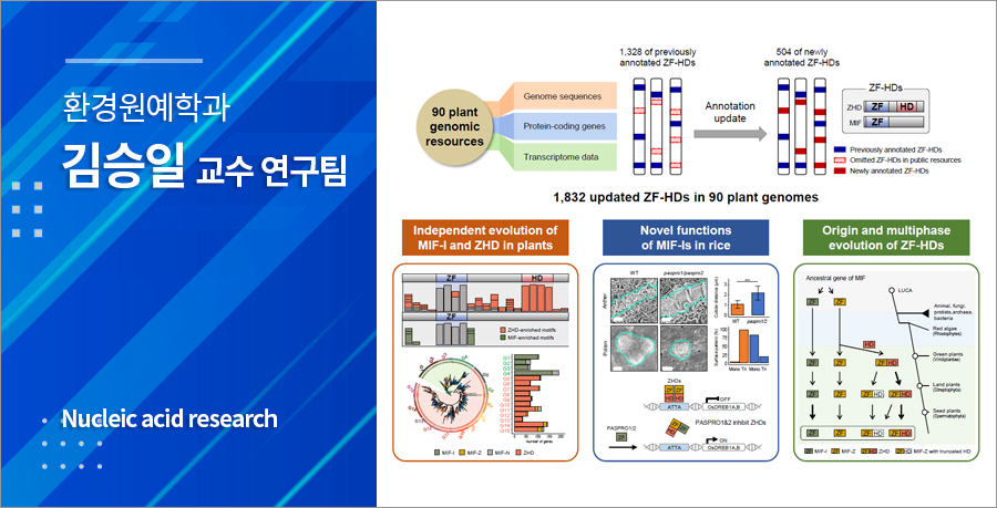 김승일 교수팀, 식물 특이 전사인자의 새로운 진화모델 제시