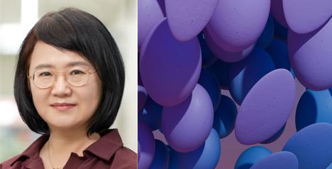 박현성 교수 연구팀, 저산소 환경이 세포 노화를 늦추는 후성유전학적 기전 규명