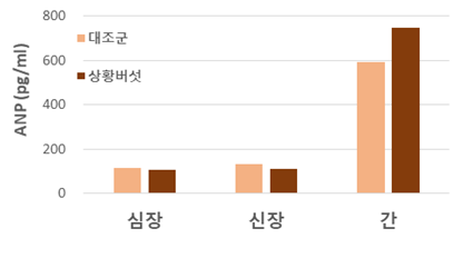 심장 신장 간